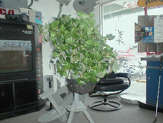 DishCAMO - Turn your Satellite into a Plant !!!!